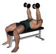 Dumbbell Press - Flat Bench and Flye